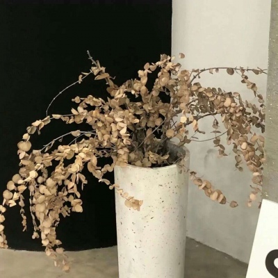 章贡FurryQQ群介绍